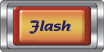 This is the Flash button
